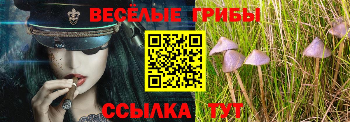 Псилоцибиновые грибы мухоморы Новотроицк