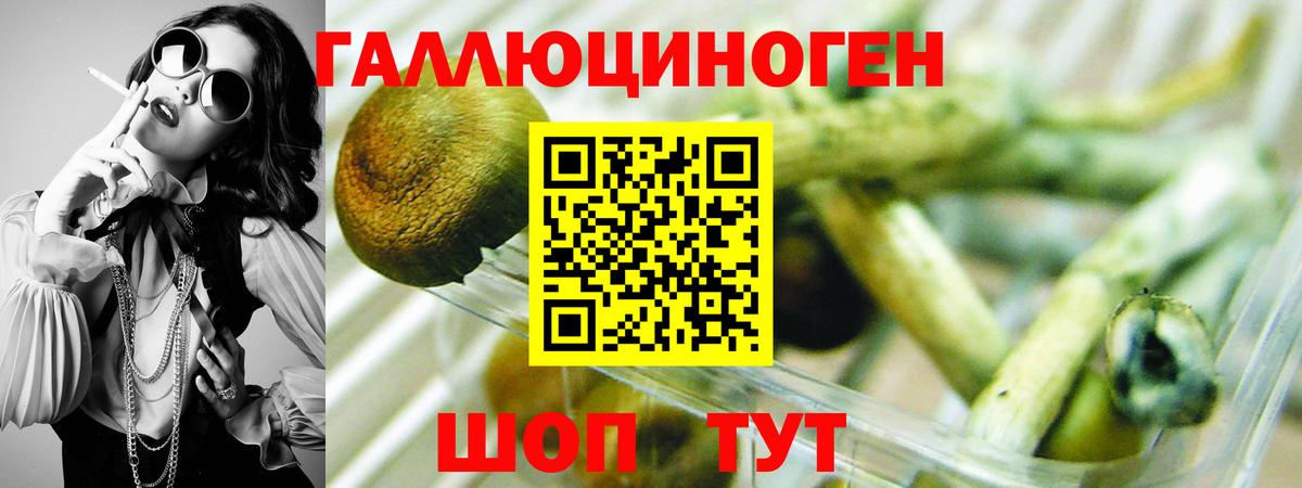Новотроицк  Галлюциногенные грибы GOLDEN TEACHER  Вход с VPN 